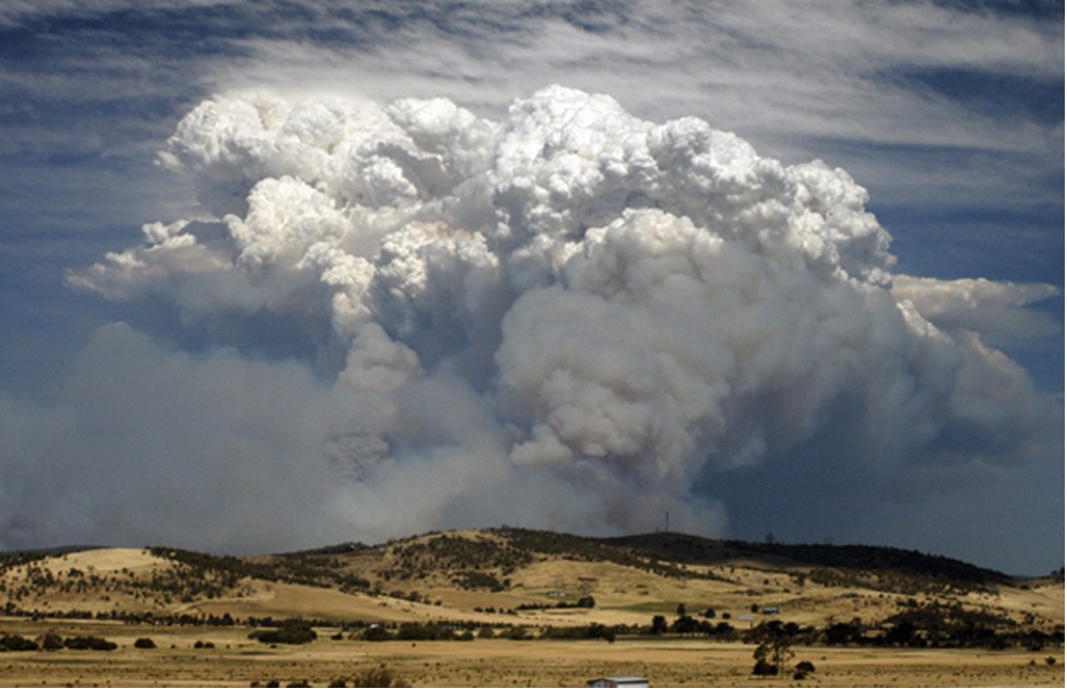 Daruuraha iyo Roobabka miyaa la kala xadi karaa?