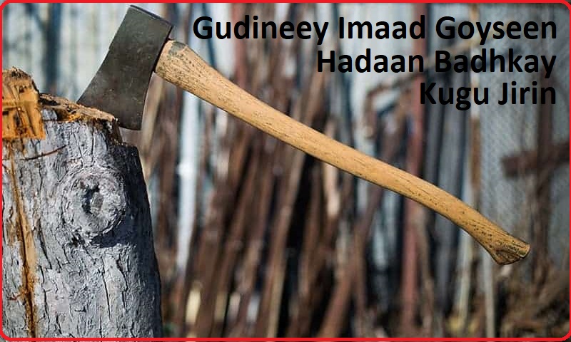 Dibjirta Waxa Dawo Ka Ah Maxkamada Dastuuriga ama Badbaadada