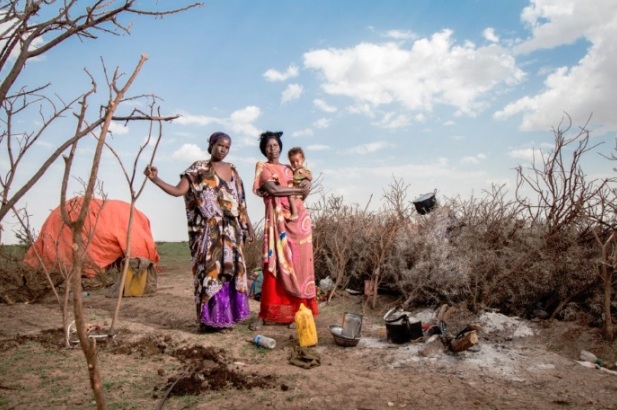 Xanuun-Wareejisku Ma Jiraa?