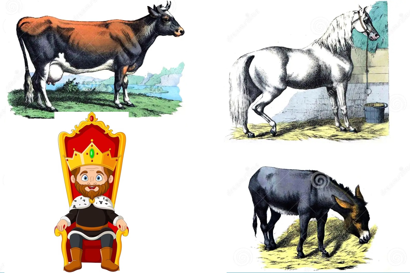 Sheekooyinka xikmadaysan ee fariinta gudbiya